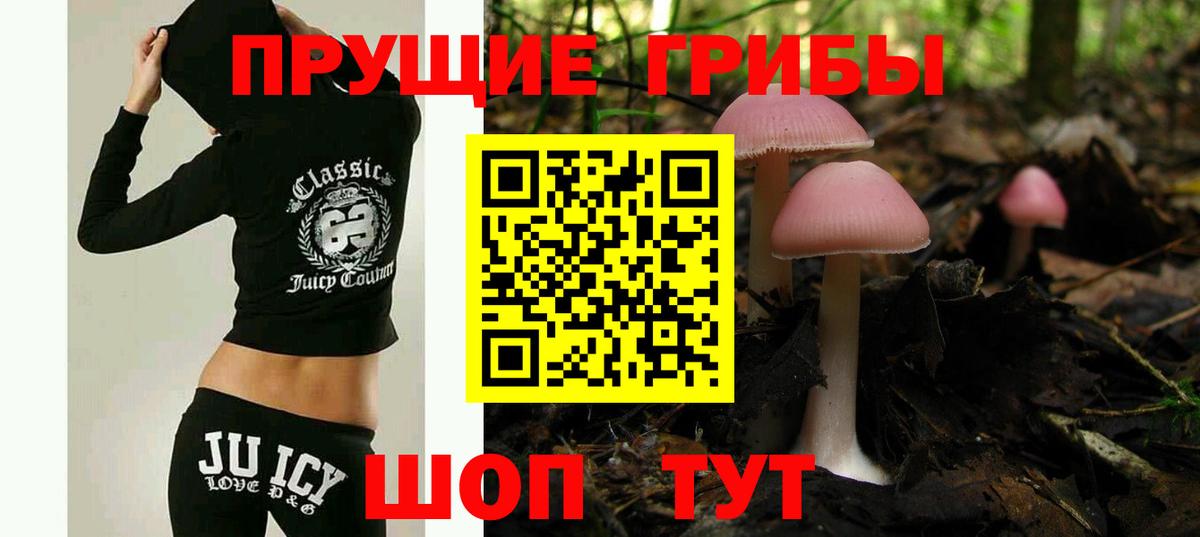 Назрань  Галлюциногенные грибы Psilocybine cubensis  Вход с VPN 